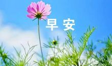 节日问候语