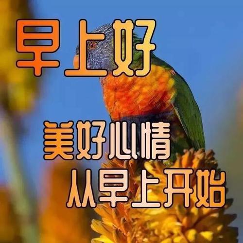 2020年的工作祝福