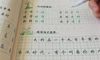 表扬同学们认真写作业的好句子摘录26句